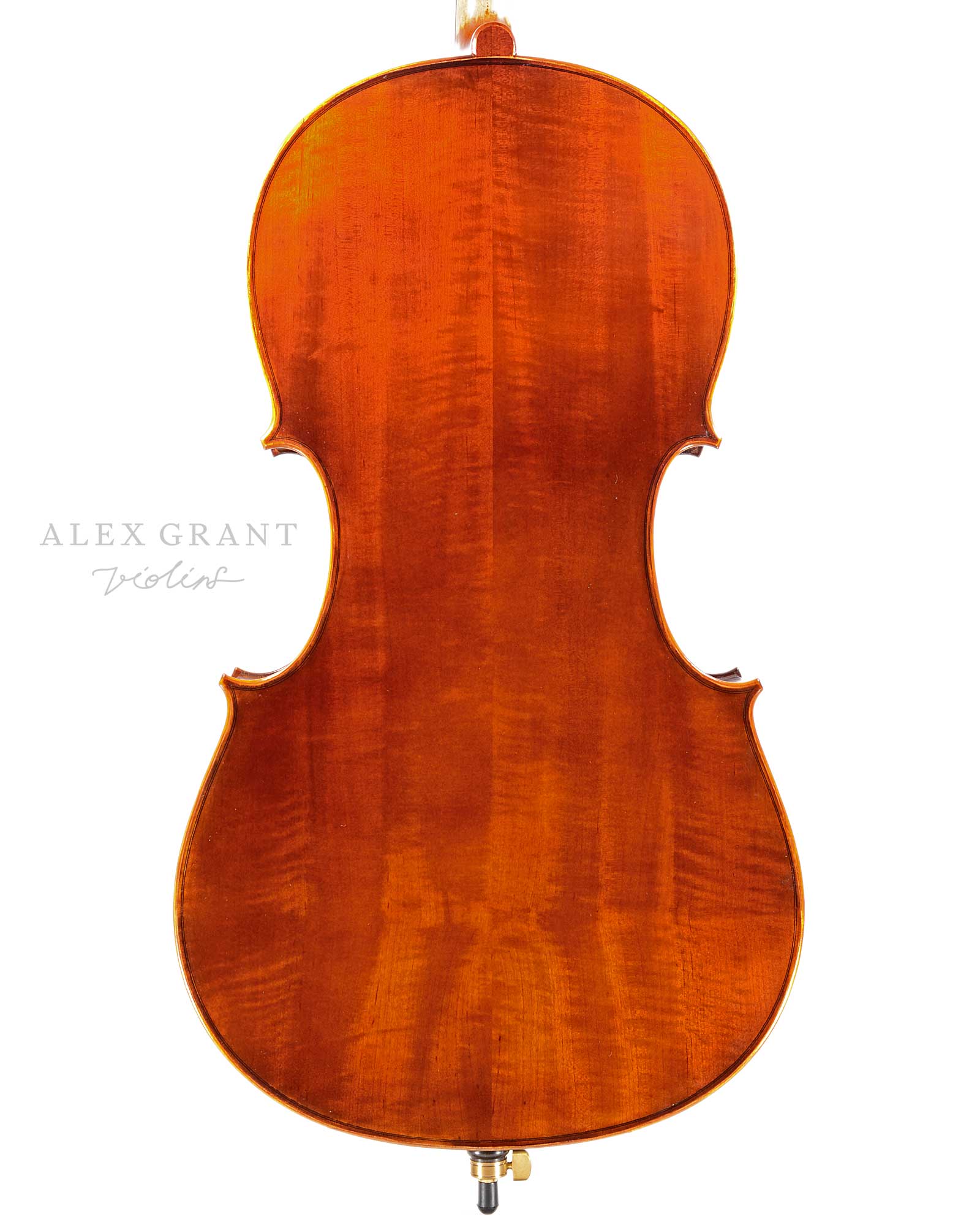 Orana Prima 4/4 Cello Back Plate
