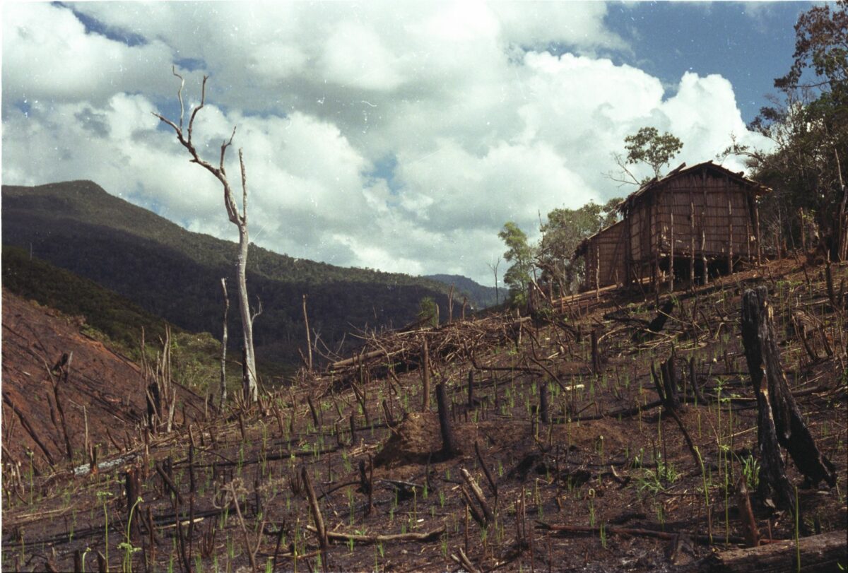 A barren hillside in Madagascar after logging