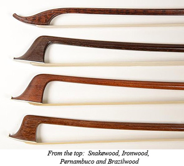 Collection of viollin bows made of different timbers
