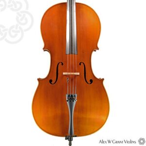 KG 300 Cello-0