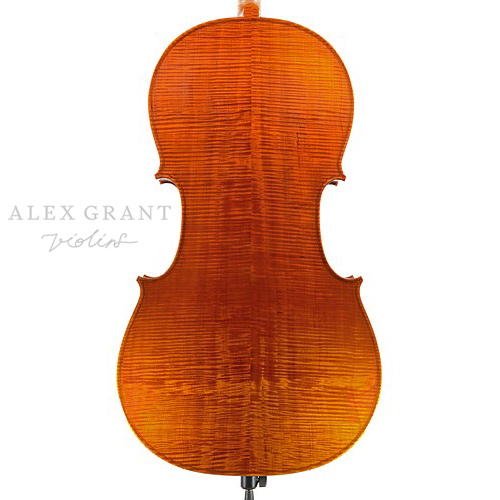 KG300 4/4 Cello Back Plate