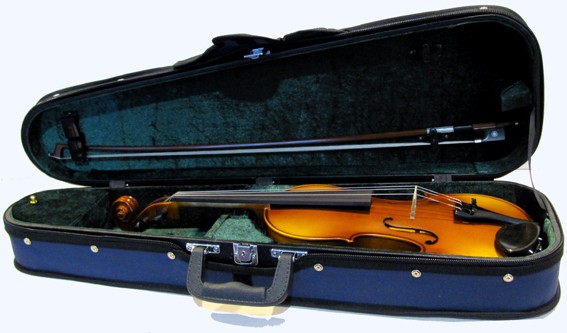 Raggetti RV2 Violin Outfit-780