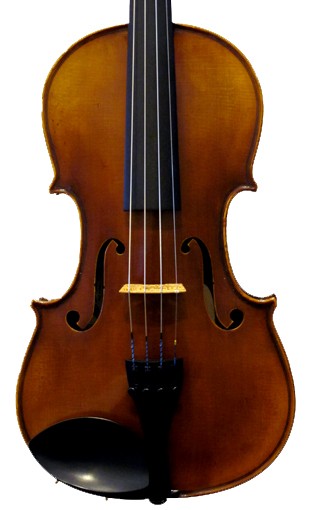 Raggetti RV7 Violin Outfit-774
