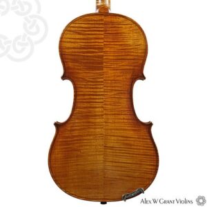 KG 300 Violin-0