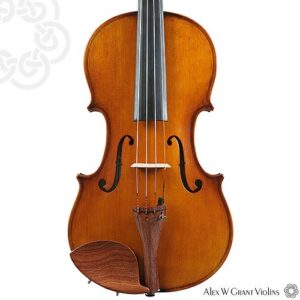 KG 300 Violin-1459