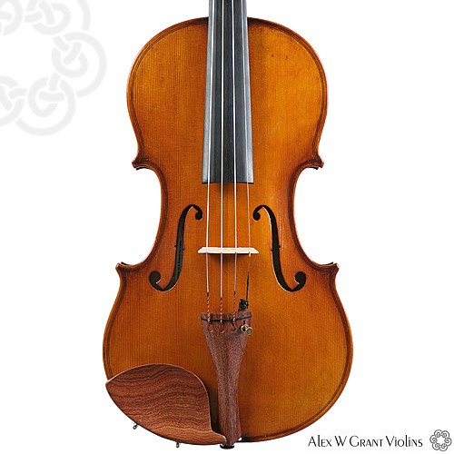 KG 300 Violin-1459