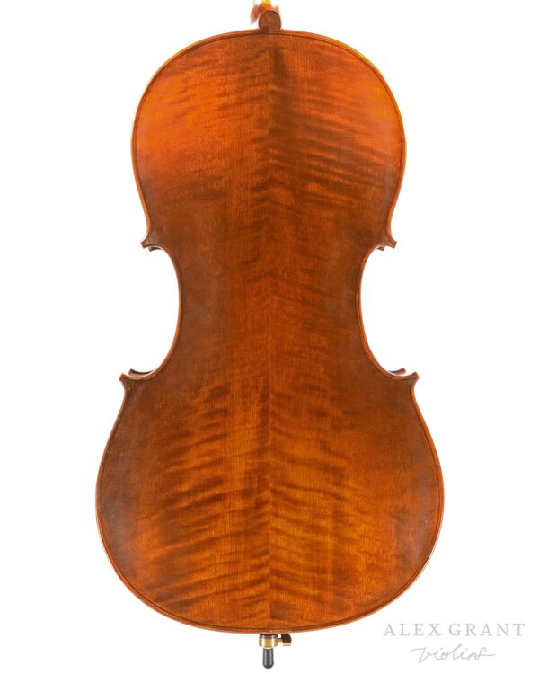 Gabrielli 3/4 Cello Back Plate