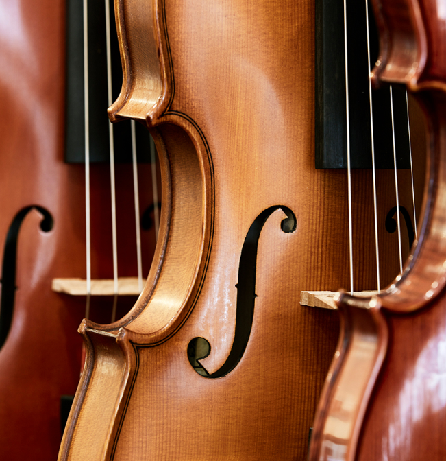 shop violins