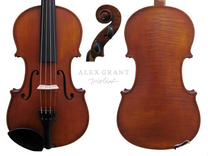 Gliga III Viola