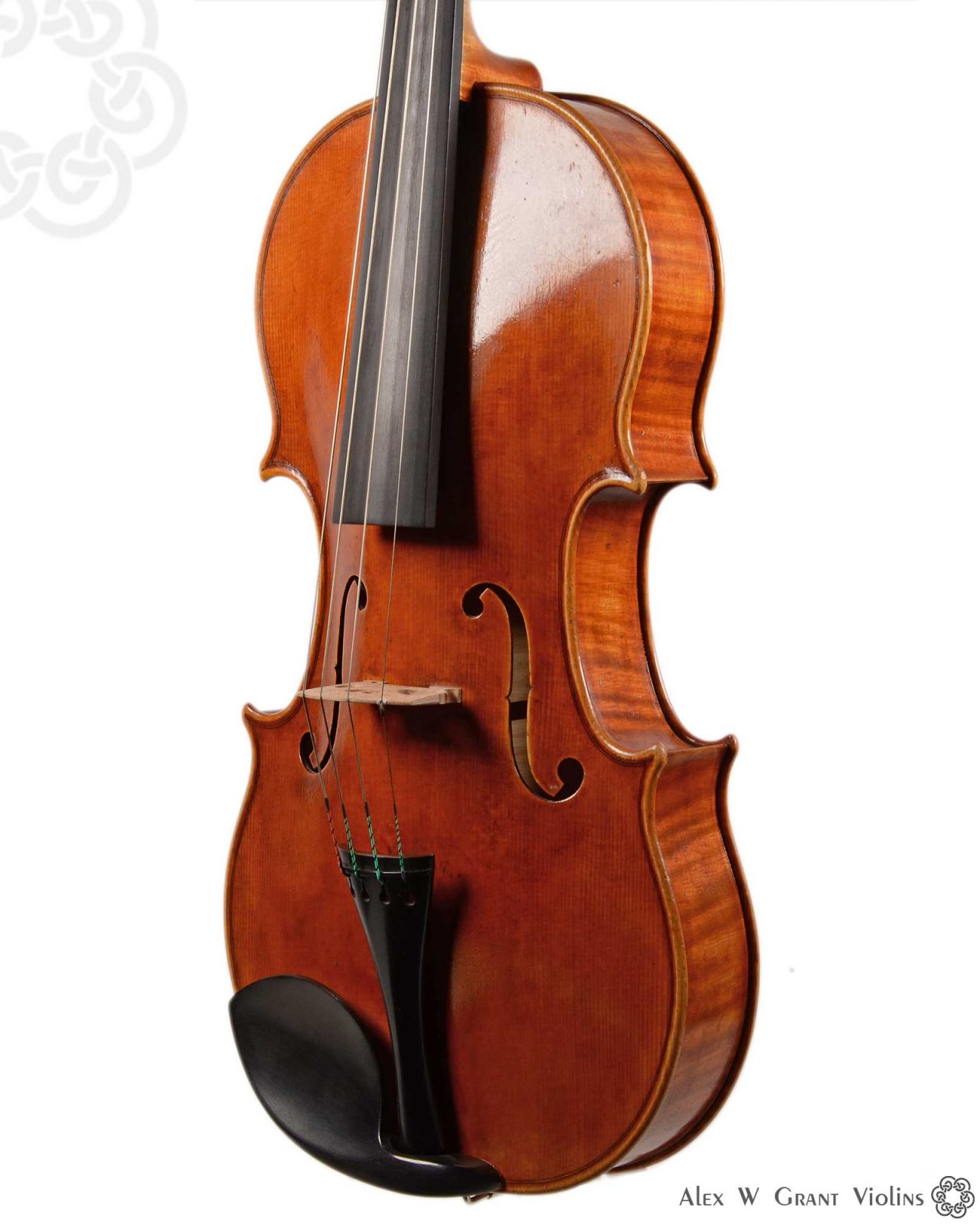 Viola by Martin Schuster, Melbourne, 2018