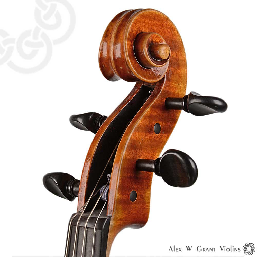 Viola by Martin Schuster, Melbourne, 2018