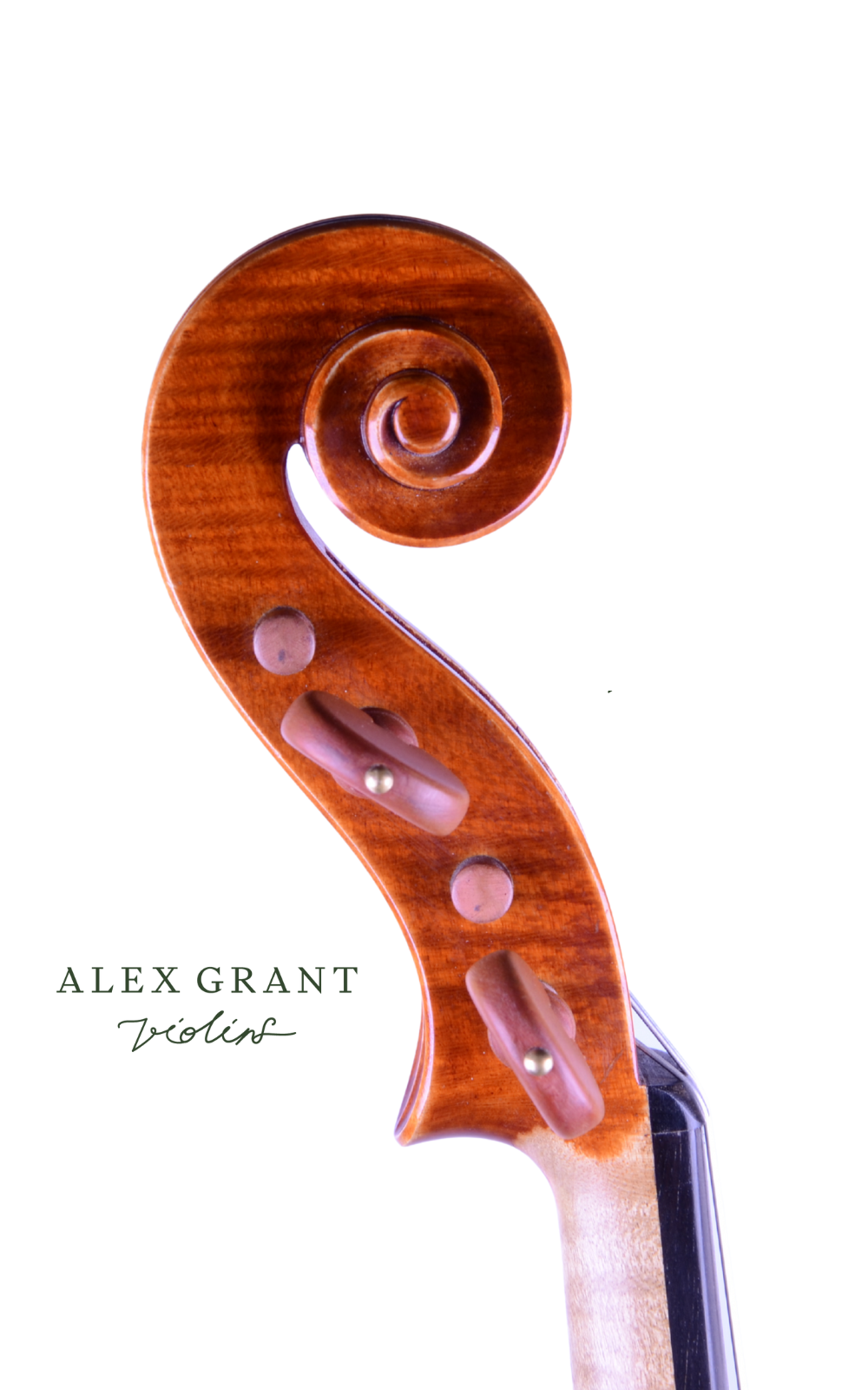 Marco Nolli Violin, Cremona, Italy, 1998 - Image 5