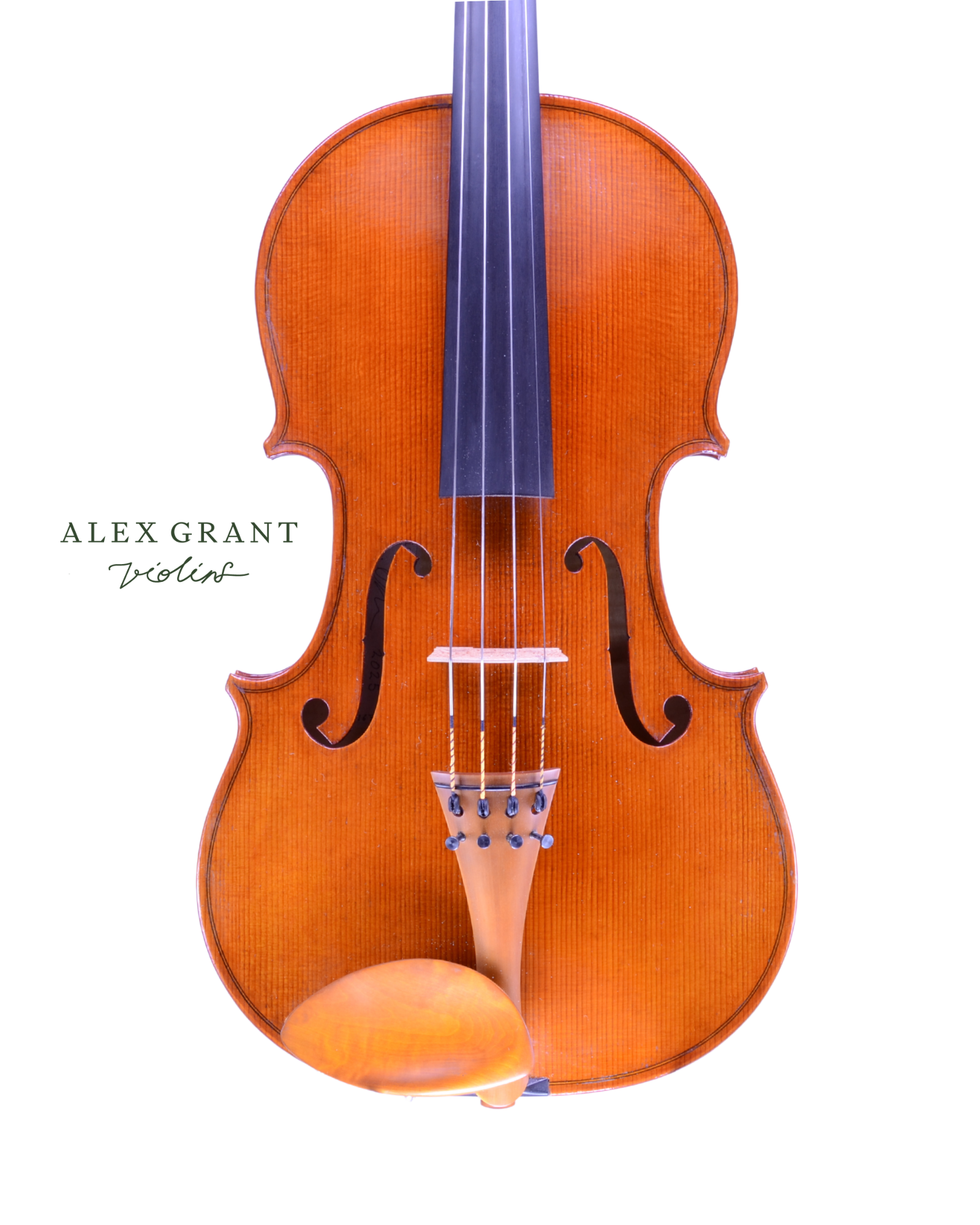 Rainer Beilharz 15 3/4" Viola, Australia, 2025 - Image 4